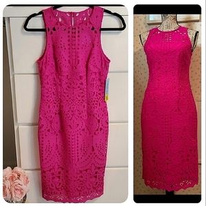 NWT ANTONIO MELANI Lace Magenta Oli Lace Sheath Dress